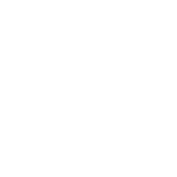 Solid white background with no visible elements.
