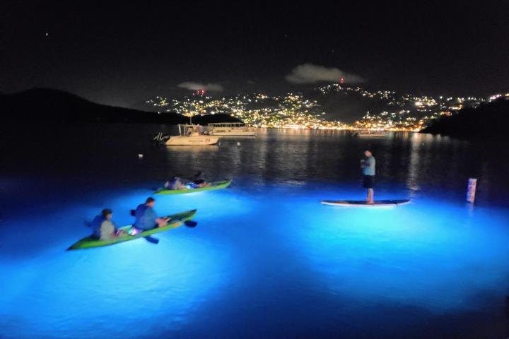 Kayakers and paddleboarder on glowing water at night with city lights in the background.