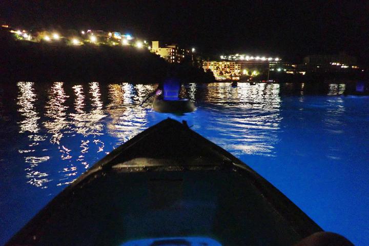 Kayak on bioluminescent water at night, city lights in background.
