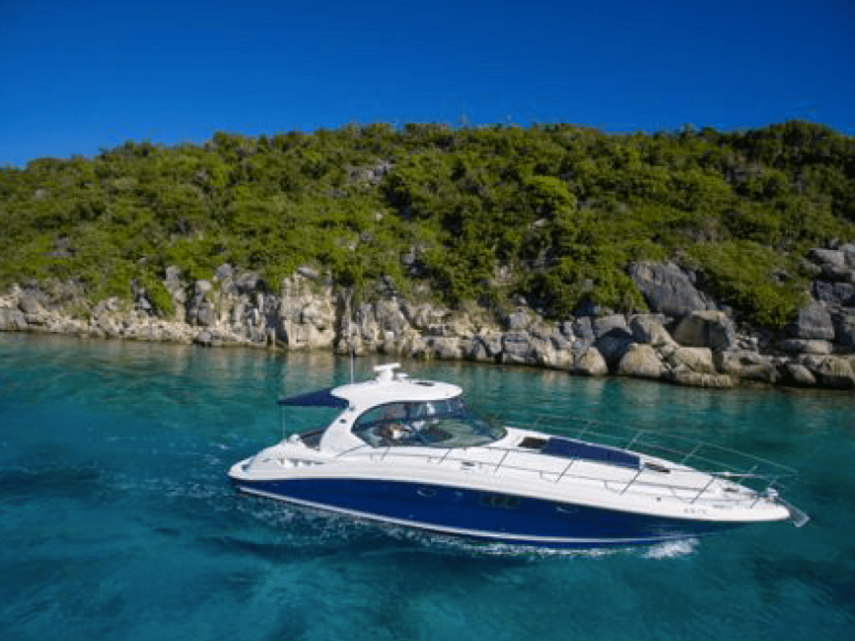 White yacht cruising on clear blue water near rocky, green shoreline.