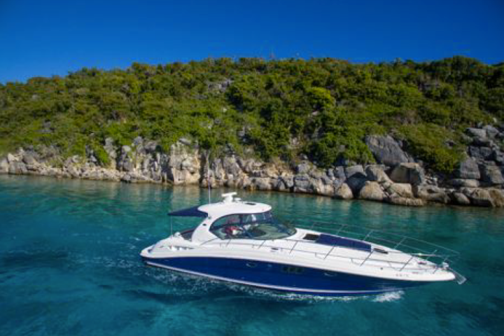 White yacht cruising on clear blue water near rocky, green shoreline.