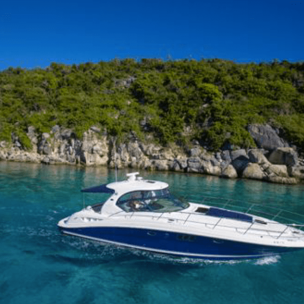 White yacht cruising on clear blue water near rocky, green shoreline.