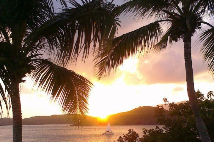 Sunset over ocean with sailboat, framed by palm trees.