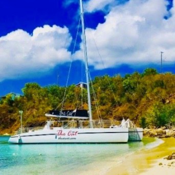 Catamaran at a tropical beach with blue sky and trees.