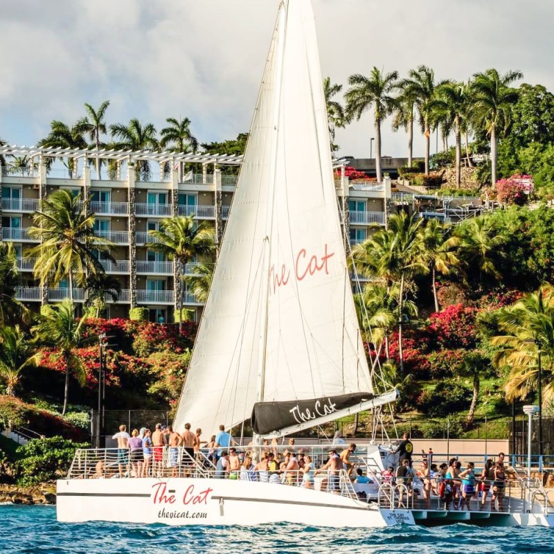 Catamaran with passengers sailing near a tropical shoreline and palm trees.