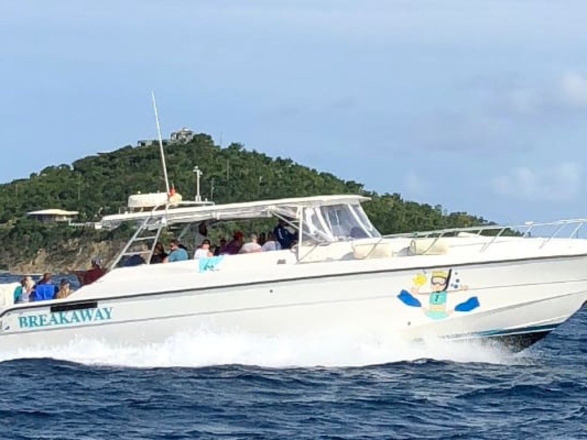 White motorboat with people onboard cruising near a green island.
