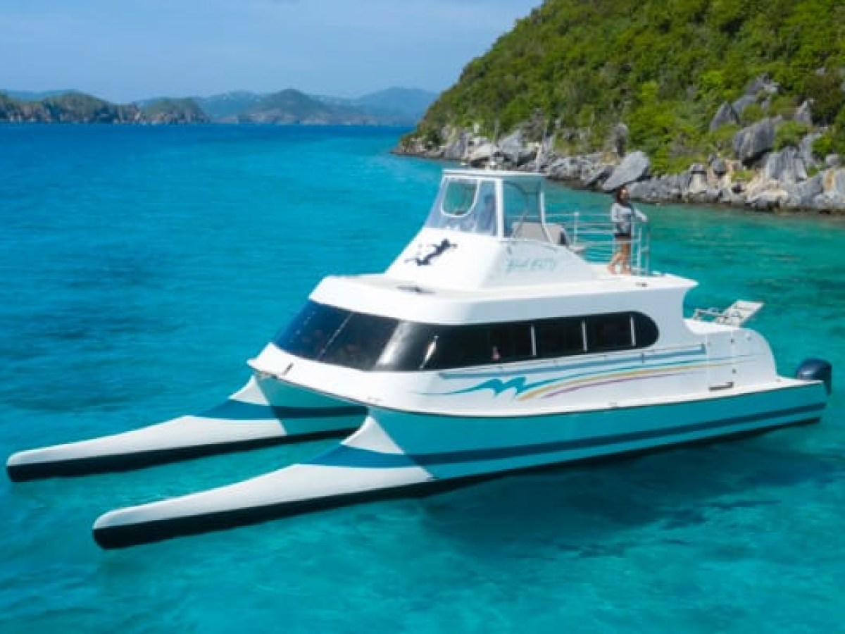 Catamaran yacht on clear blue water near a rocky, green shoreline.