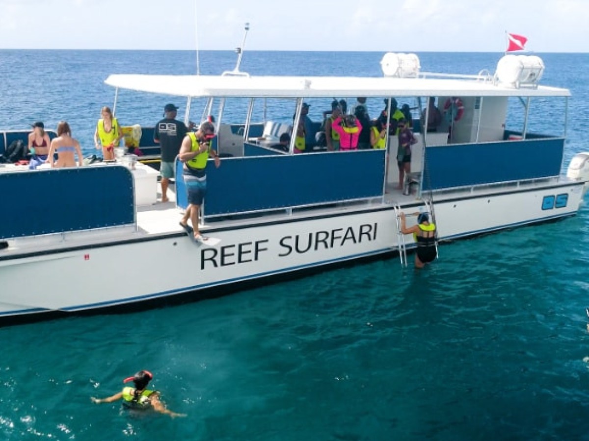 People snorkeling near a boat named 'Reef Surfari' in clear ocean water.