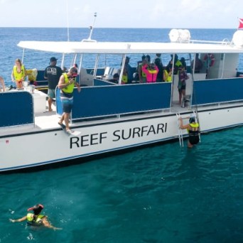 People snorkeling near a boat named 'Reef Surfari' in clear ocean water.