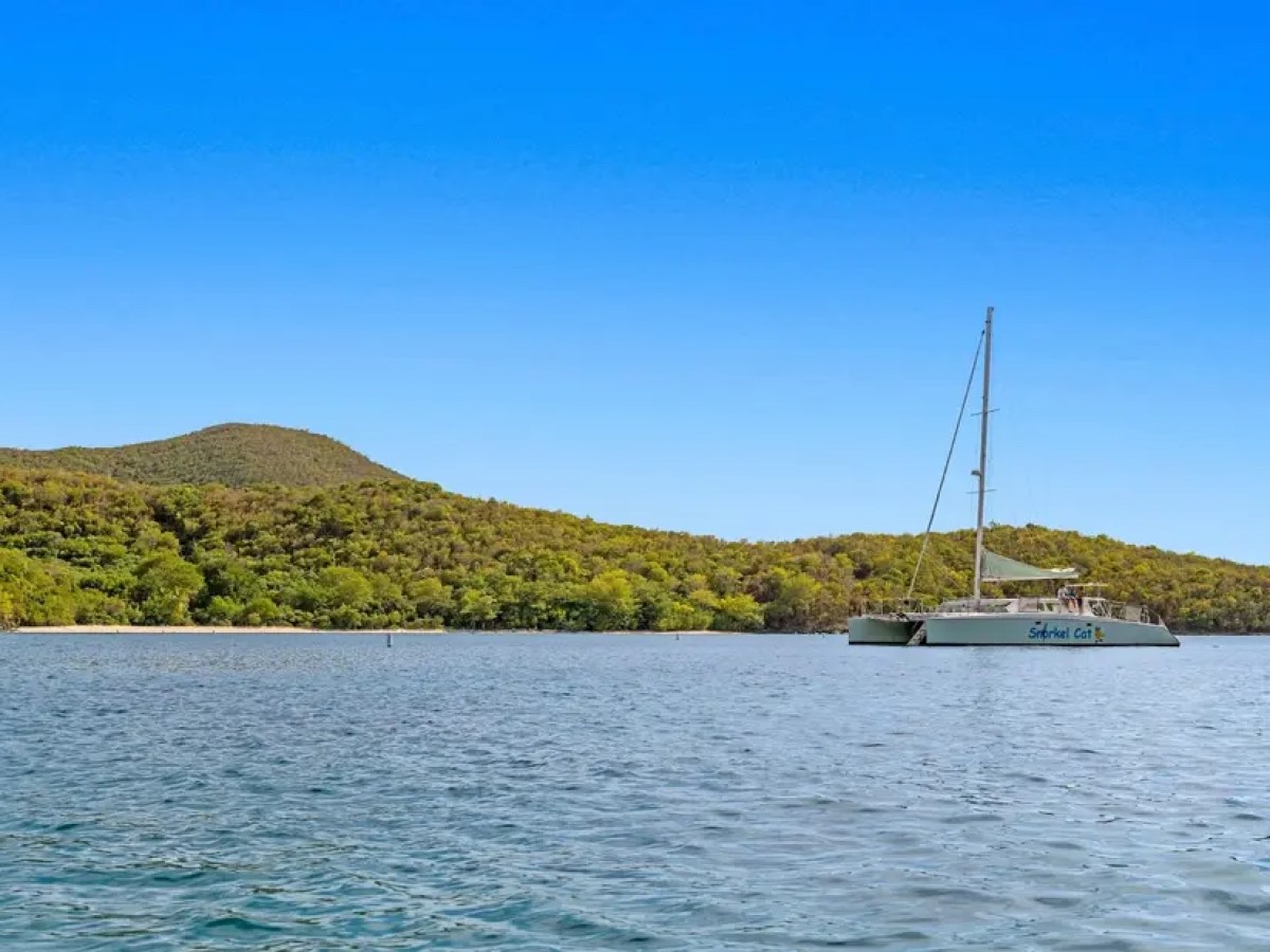Sailboat on water near a green hilly coastline under a clear blue sky.